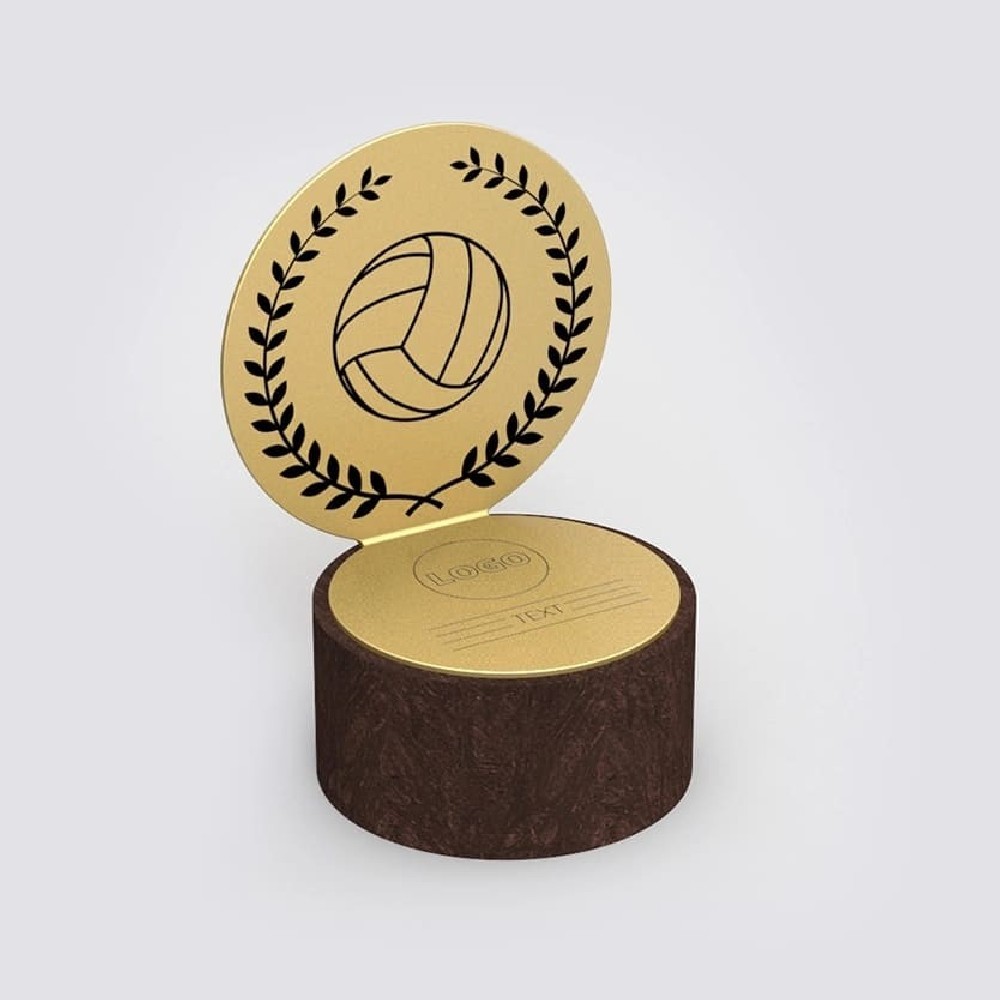 Volleyball Pokal 2